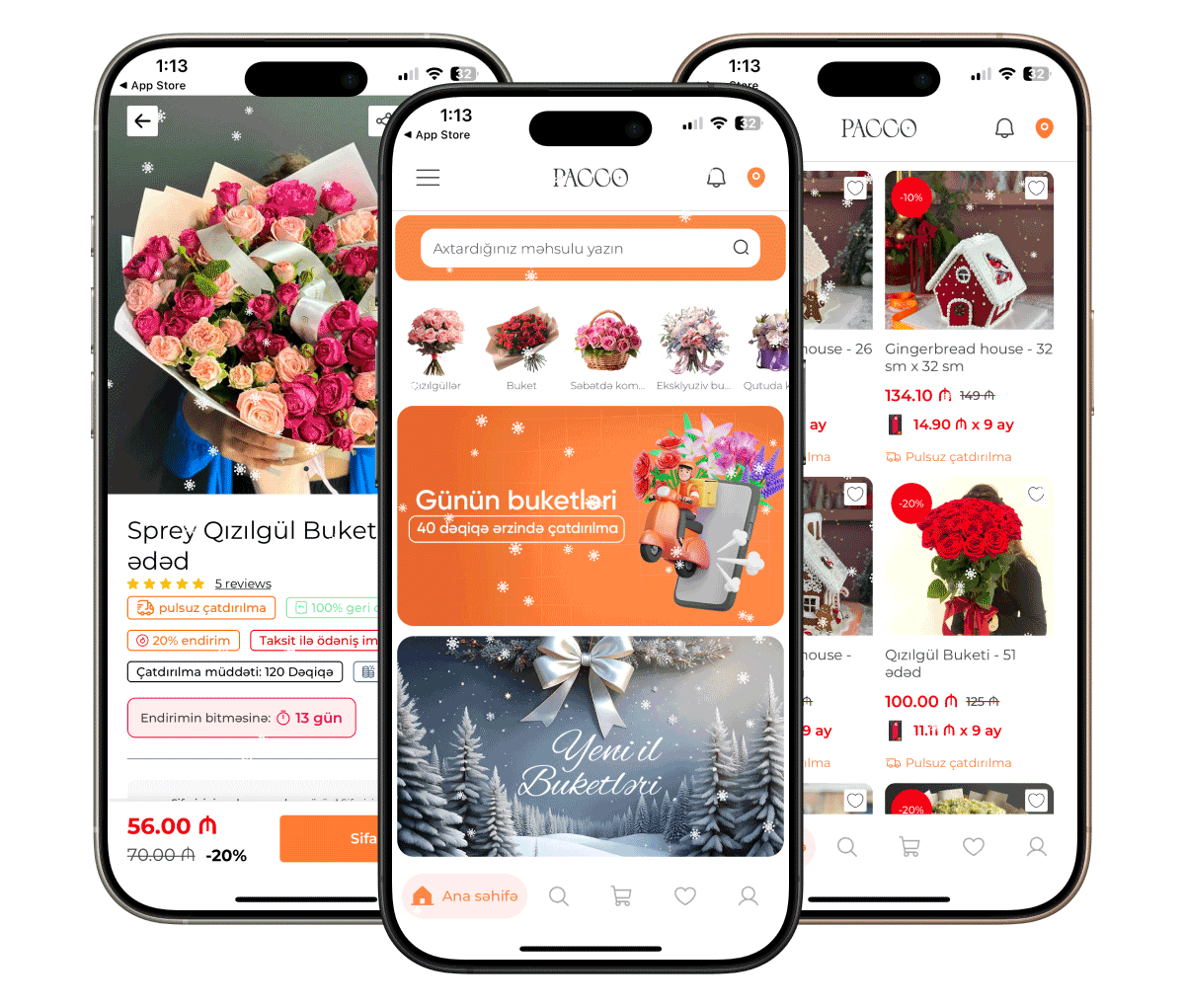 Screenshot des Pacco Projekts